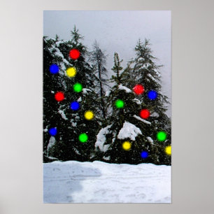 Christmas trees poster