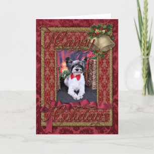 Christmas - Tucker - Yorkie X Holiday Card
