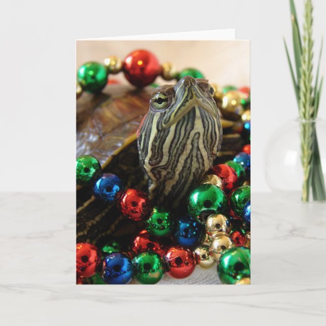 Christmas Turtle Holiday Card (Front)