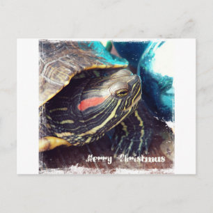 Christmas Turtle Holiday Postcard