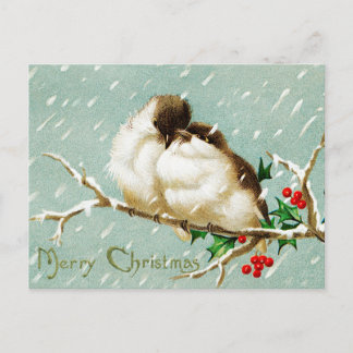Christmas vintage birds merry retro postcard
