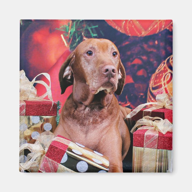 Christmas - Vizsla - Budda Magnet (Front)