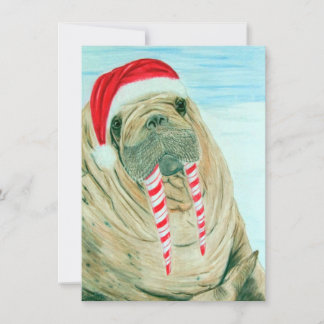 Christmas Walrus Holiday Card