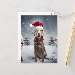 Christmas Weimaraner Dog Postcard