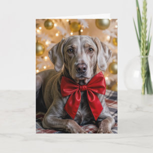 Christmas Weimaraner Dog With Red Bow Card