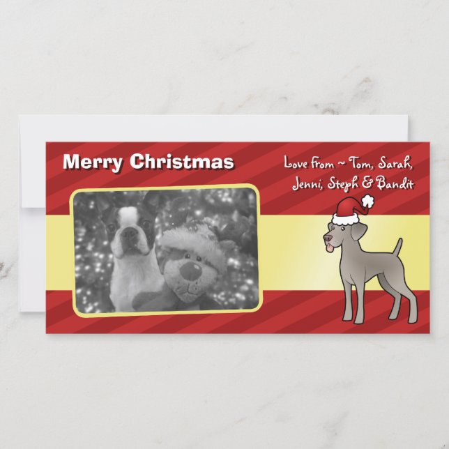 Christmas Weimaraner Holiday Card (Front)