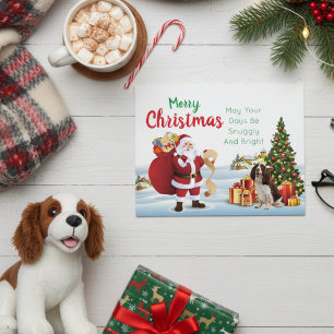 Christmas Welsh Springer Spaniel Postcard