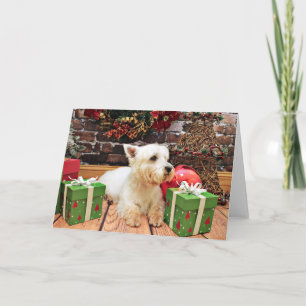 Christmas - Westie - Callie Holiday Card