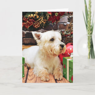 Christmas - Westie - Callie Holiday Card