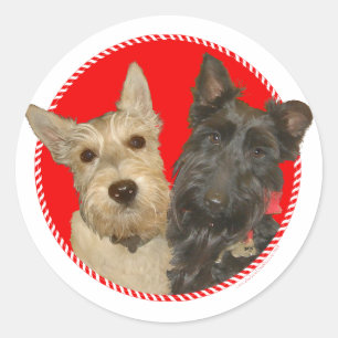 Christmas Wheaten & Black Scotties Classic Round Sticker