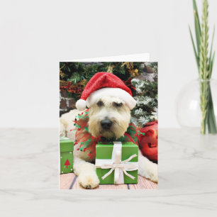 Christmas - Wheaten Terrier - Bailey Holiday Card