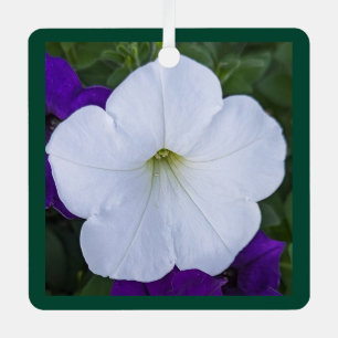Christmas White Flower Photo Bible Verse Green Metal Tree Decoration