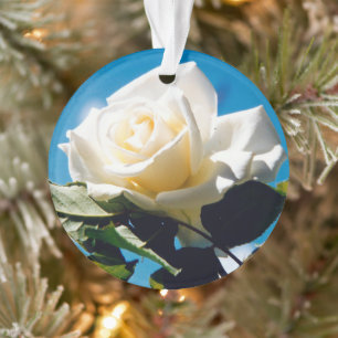 Christmas White rose - Celebrating Life  Ornament