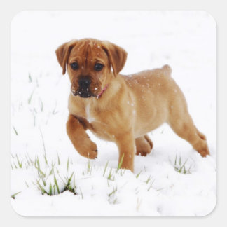 Christmas Winter Puppy Square Sticker
