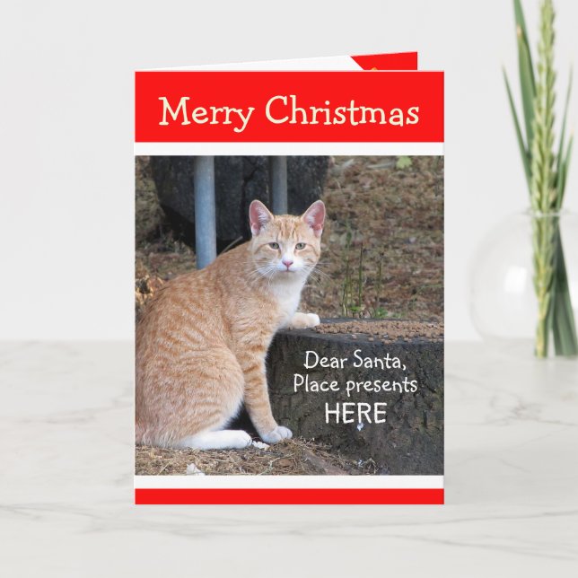 Christmas Wishes Orange Tabby Card (Front)