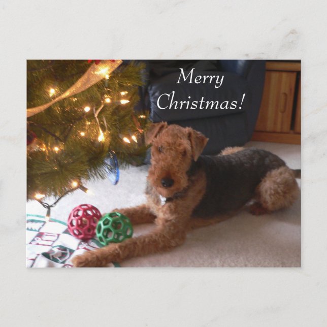 Christmas with Madeleine Postcard (Front)