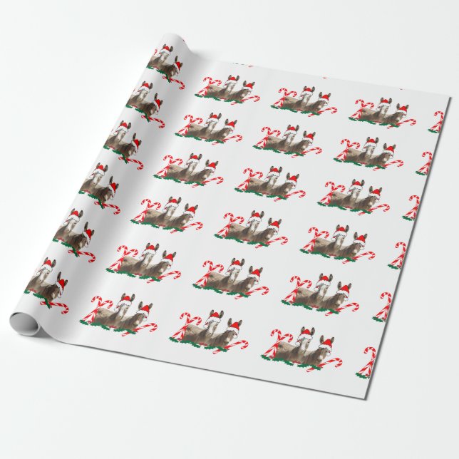 Christmas wrapping paper, wildlife, donkeys wrapping paper (Unrolled)