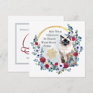 Christmas Wreath with Beautiful Cat Holiday Card