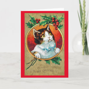 Christmas, Xmas Cat Card