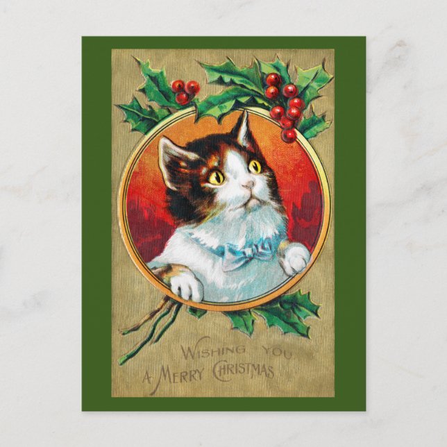 Christmas, Xmas Cat Postcard (Front)