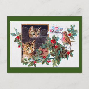 Christmas, Xmas Kitten and Little Bird Postcard