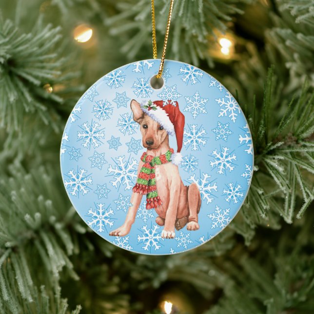Christmas Xoloitzcuintli Ceramic Ornament (Tree)