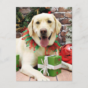 Christmas - Yellow Labrador - Strider Holiday Postcard