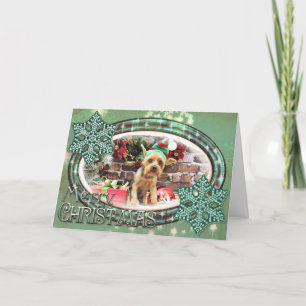 Christmas - Yorki - Teddy Holiday Card