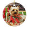 Christmas - Yorkie - Kinsey