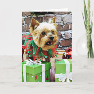 Christmas - Yorkie - Willie Holiday Card