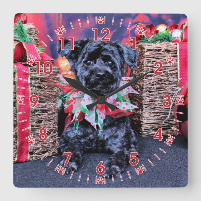 Christmas - YorkiePoo - Lucy Square Wall Clock (Front)