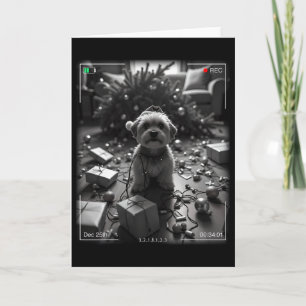 Christmas Yorkshire Terrier Caught On Camera  Card