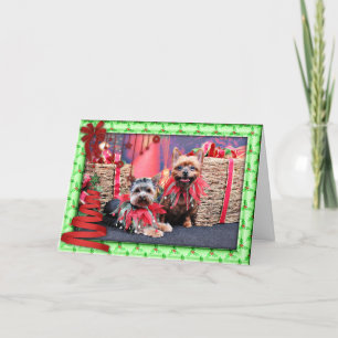 Christmas - Yorkshire Terrier - Chloe and Rocky Holiday Card