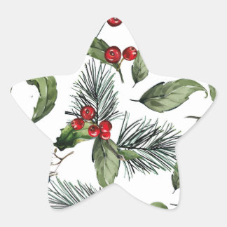 Christmass  star sticker