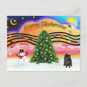 Christmast Music 2 - Pomeranian (black) Holiday Postcard