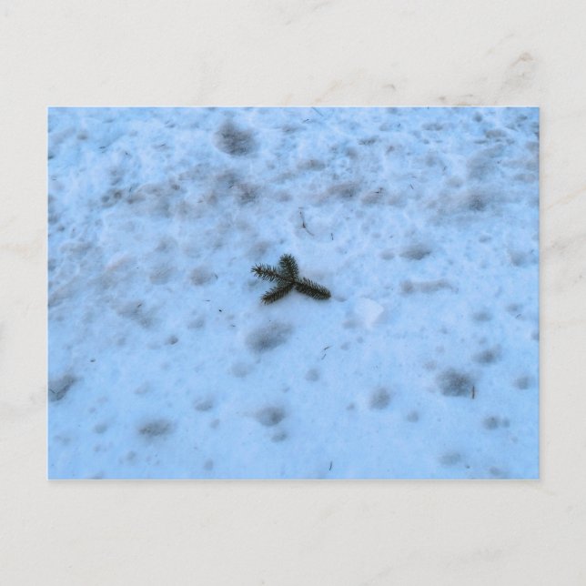 Christmastime in New England Holiday Postcard (Front)