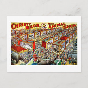 Christy's Wild Animal Show - Vintage Postcard