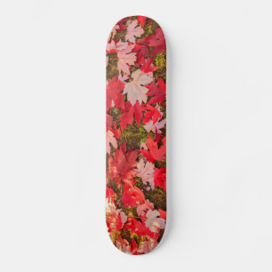 chromatic magic of the autumn Skateboards