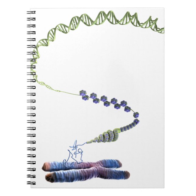 Chromatin Notebook (Front)