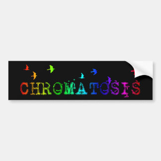 chromatosis : rainbow birds : bumper sticker