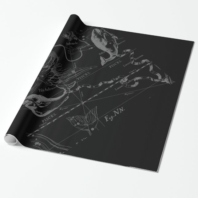 Chrome like Pisces Zodiac Sign on Black Hevelius Wrapping Paper (Unrolled)