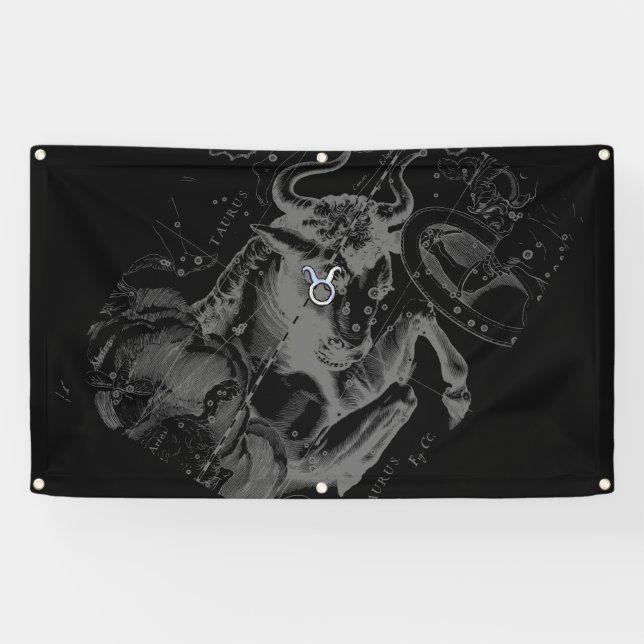Chrome Style Taurus Zodiac Sign on Hevelius Decor (Horizontal)