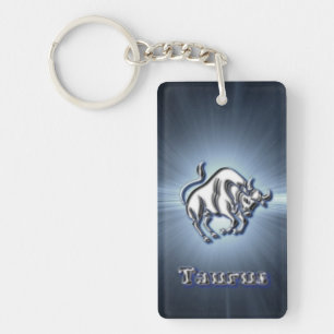 Chrome Taurus Key Ring