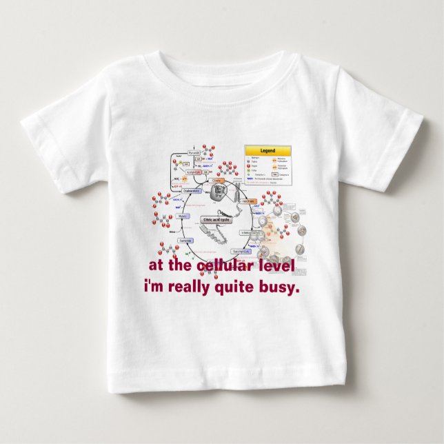 chromosome, Citric_acid_cycle_noi, Mitosis, at... Baby T-Shirt (Front)