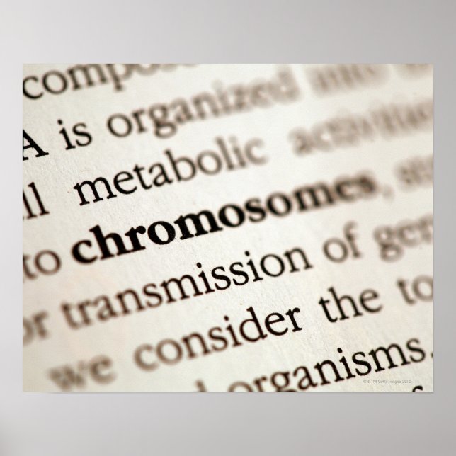 Chromosomes definition on page poster (Front)