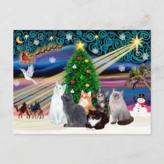 Chrstmas Magic - Six cats (variety) Postcard