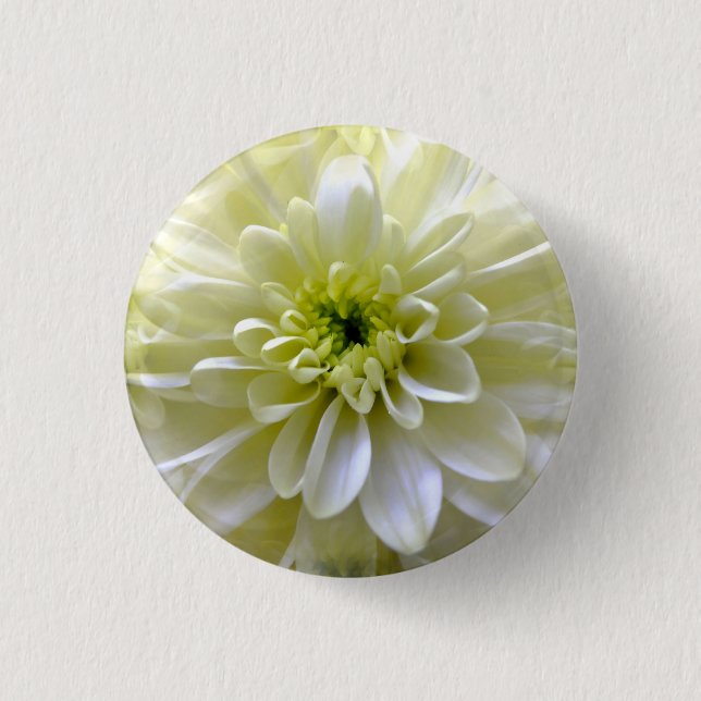 CHRYSANTHEMUM 3 CM ROUND BADGE (Front)