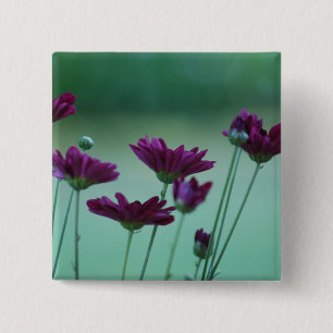 Chrysanthemum and meaning 15 cm square badge