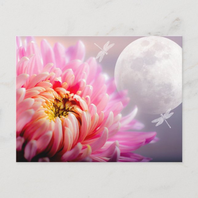 Chrysanthemum and Moon Postcard (Front)