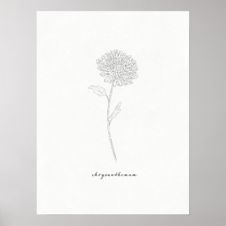 Chrysanthemum Art Print
